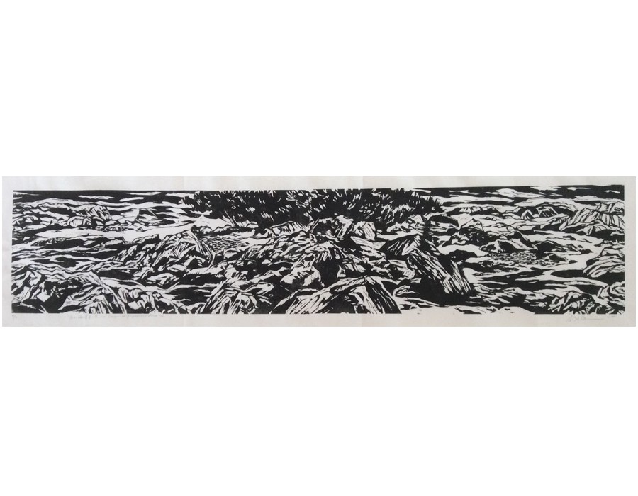 “Sunset, seashore landscape VI”, 2017, wood engraving, 35 x 169 cm