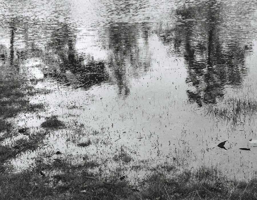 Fårö, Suède, octobre 2009