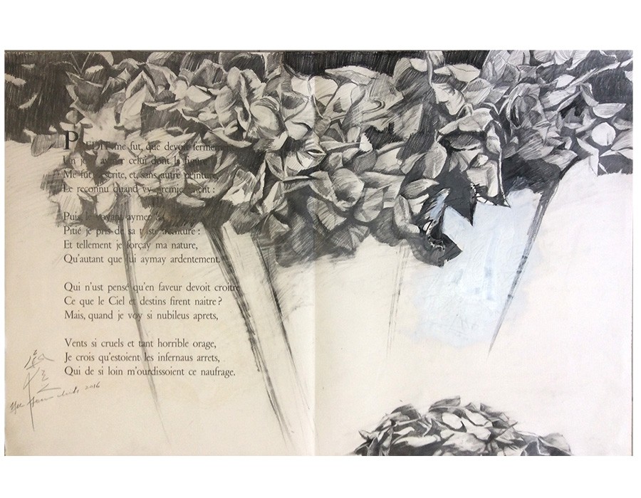 Yu Jen-chih, Hydrangea avec un poème de Louise Labbé II, 2016, crayon sur papier, 65 x 100 cm