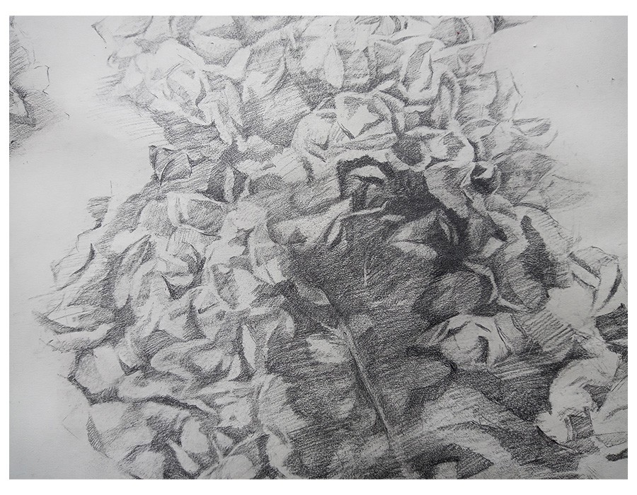 Yu Jen-chih, For D. O.(détail), 2021, pencil on paper, 65 x 100 cm