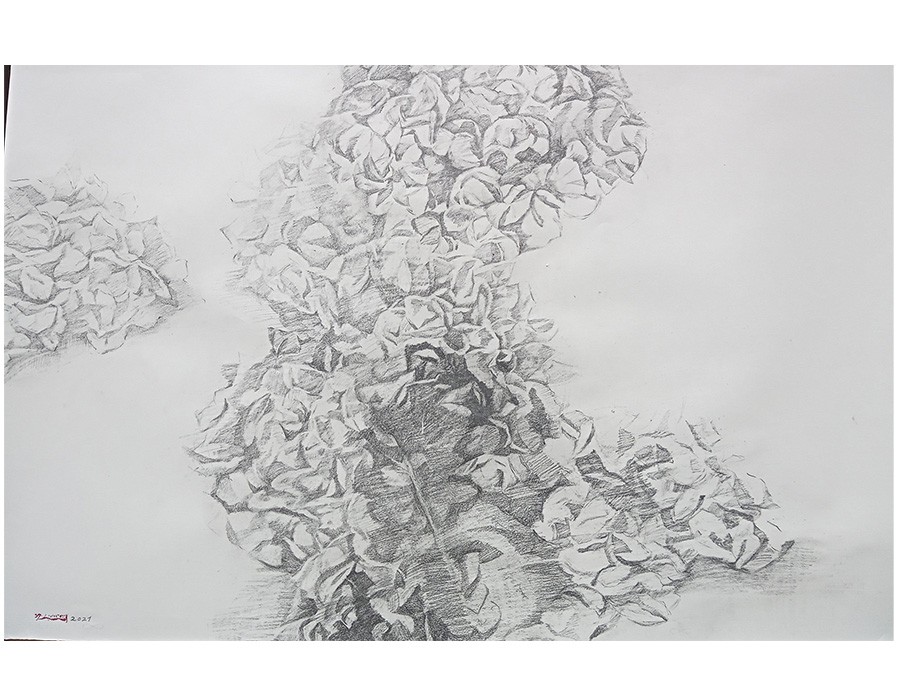 Yu Jen-chih, Pour D. O., 2021, crayon sur papier, 65 x 100 cm