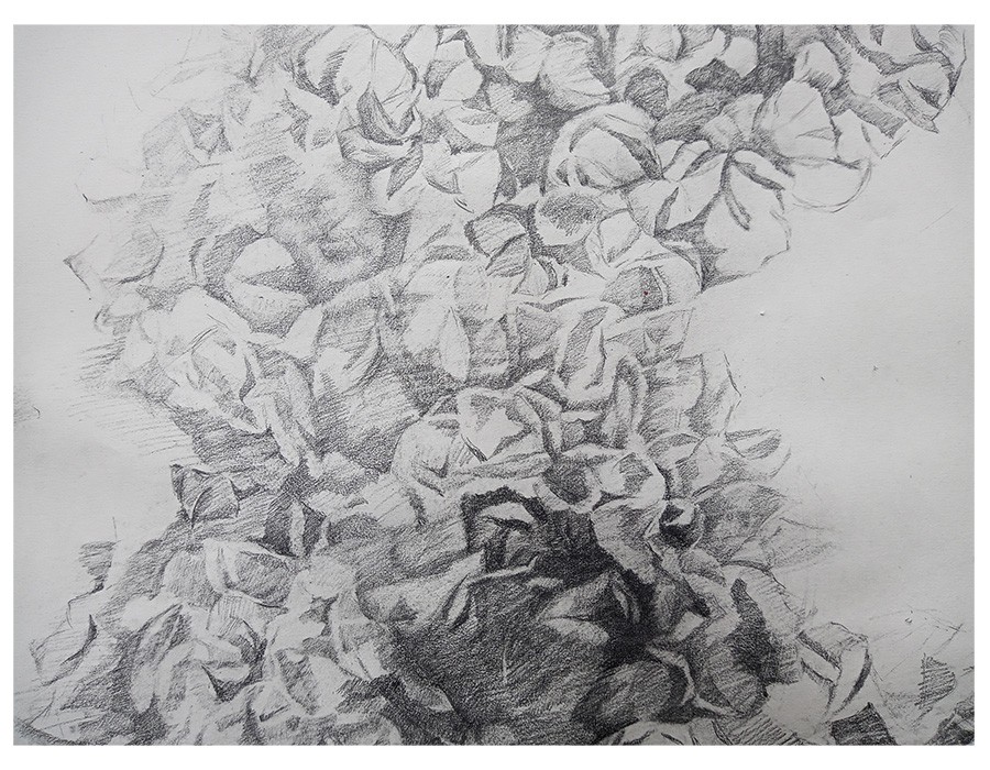 Yu Jen-chih, For D. O.(détail), 2021, pencil on paper, 65 x 100 cm