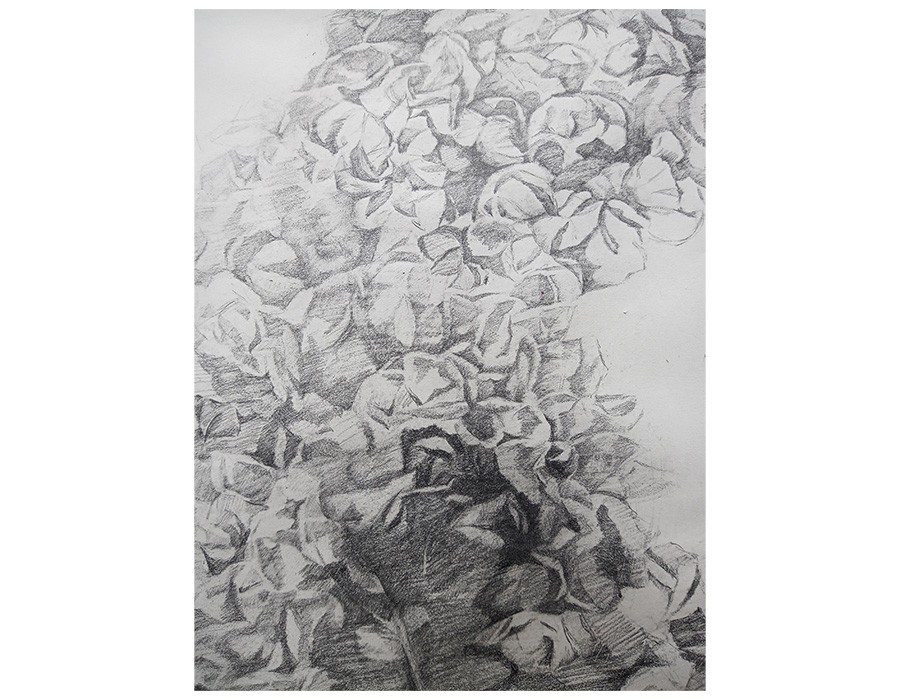 Yu Jen-chih, For D. O.(détail), 2021, pencil on paper, 65 x 100 cm