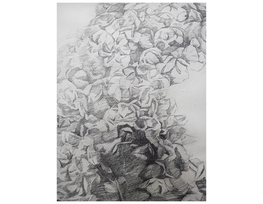 Yu Jen-chih, Pour D. O. (détail), 2021, crayon sur papier, 65 x 100 cm